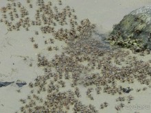 Спокойный отдых  в прекрасном месте