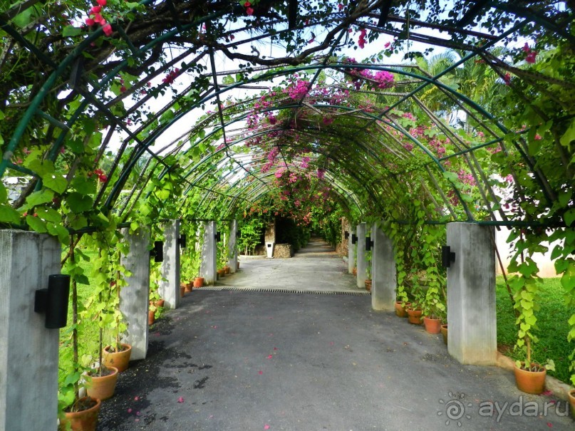 Спокойный отдых  в прекрасном месте