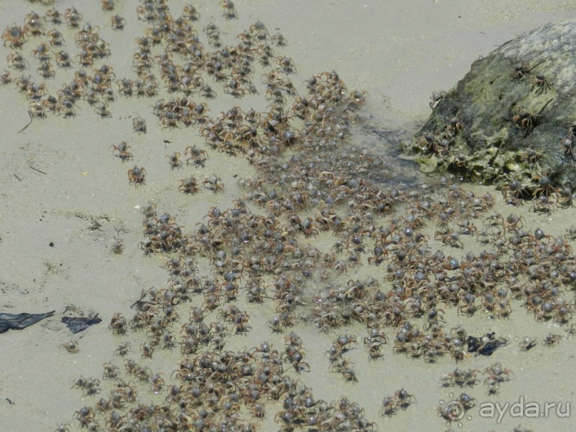 Спокойный отдых  в прекрасном месте