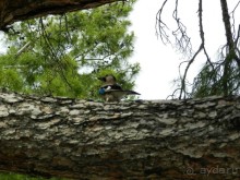 Отдых в Мармарисе и экскурсия в Эфес