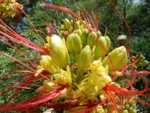 Отдых в Мармарисе и экскурсия в Эфес