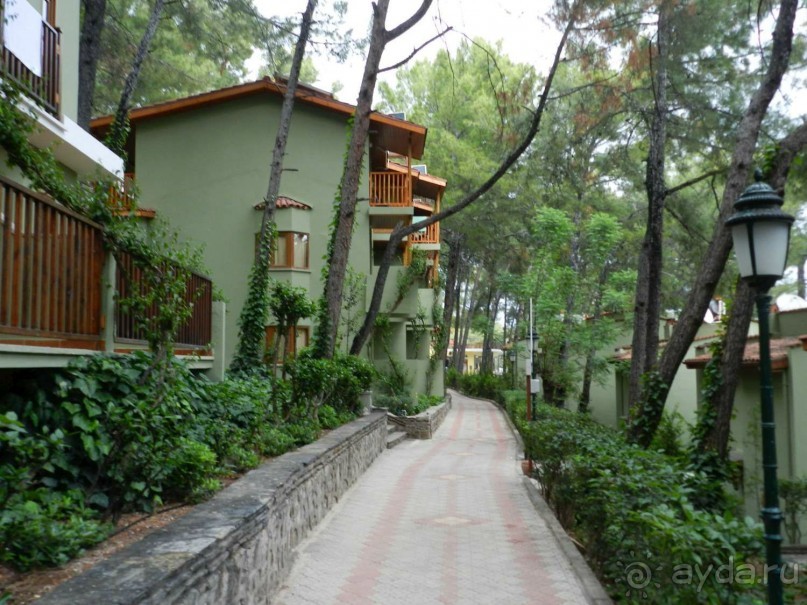 Отдых в Мармарисе и экскурсия в Эфес