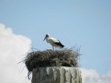 Отдых в Мармарисе и экскурсия в Эфес