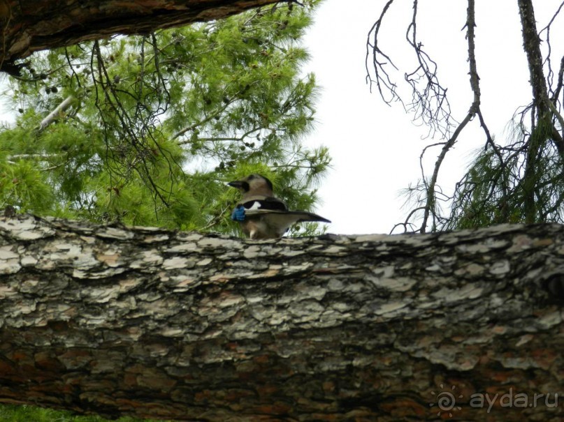 Отдых в Мармарисе и экскурсия в Эфес