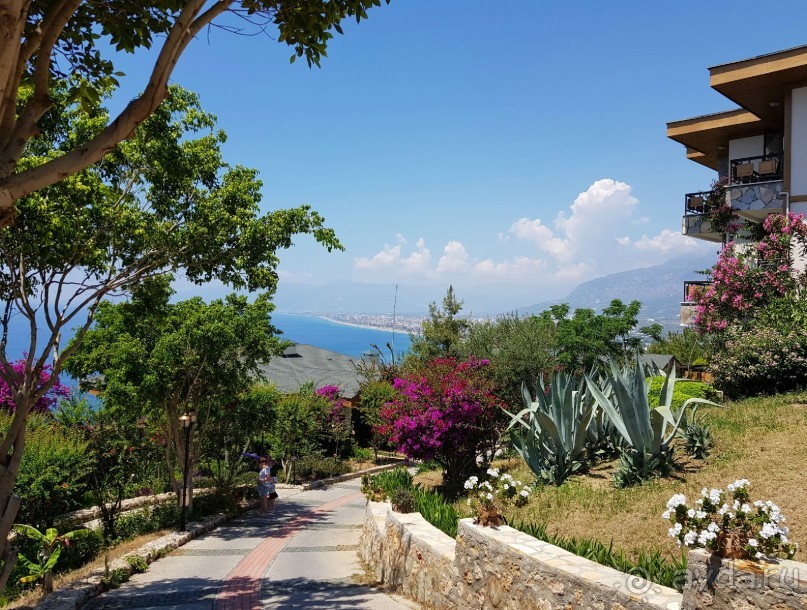 Отель для Небожителей