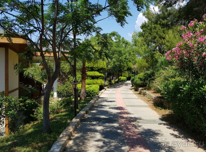 Отель для Небожителей