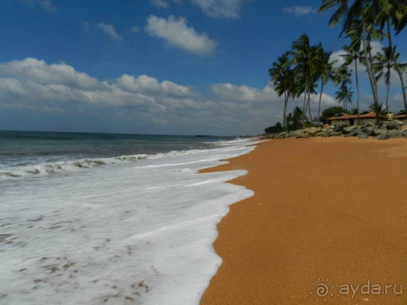 разве не фото для открытки?