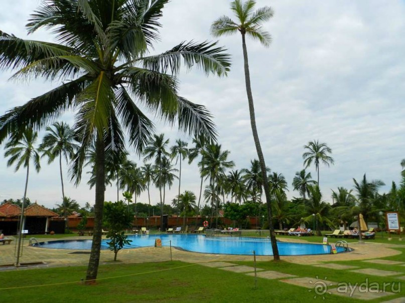 тихий бассейн