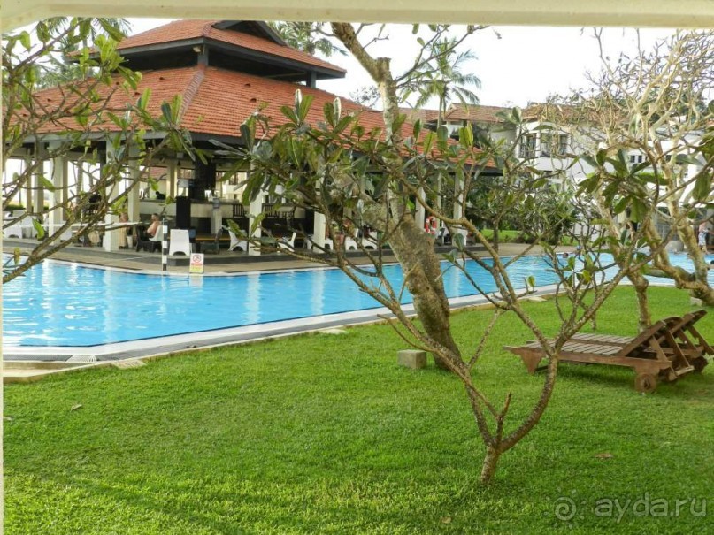 Бар и бассейн