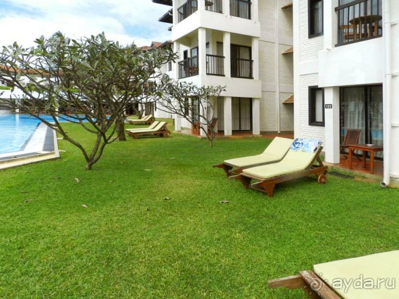 Наш номер с лежаками  на улице