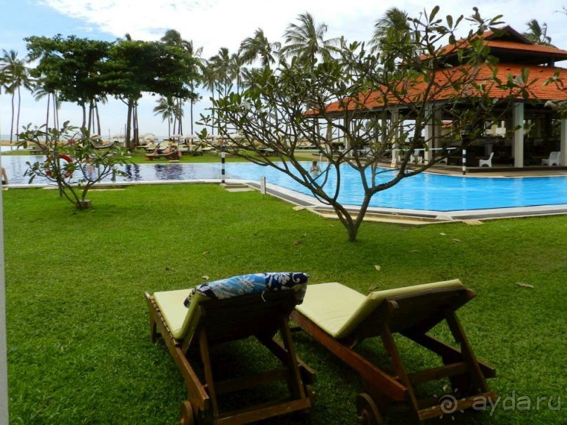 Наш номер с лежаками  на улице