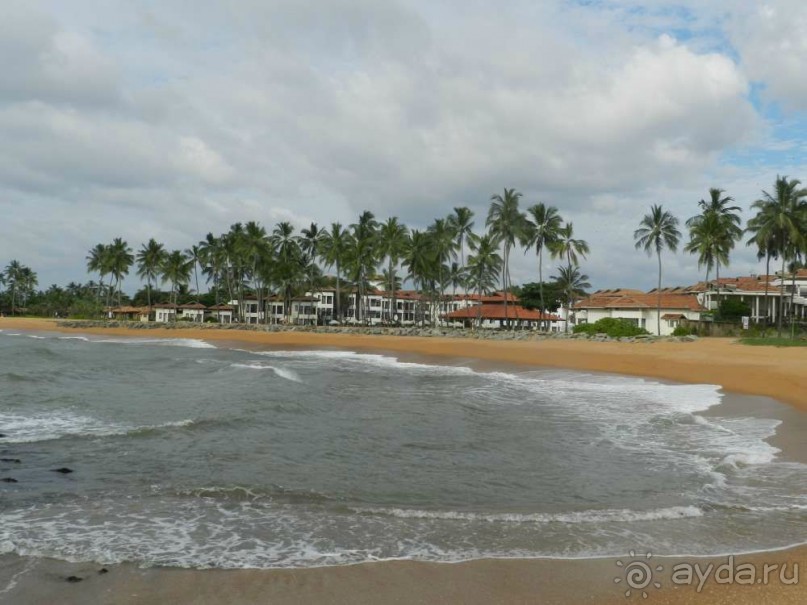 вид наотель