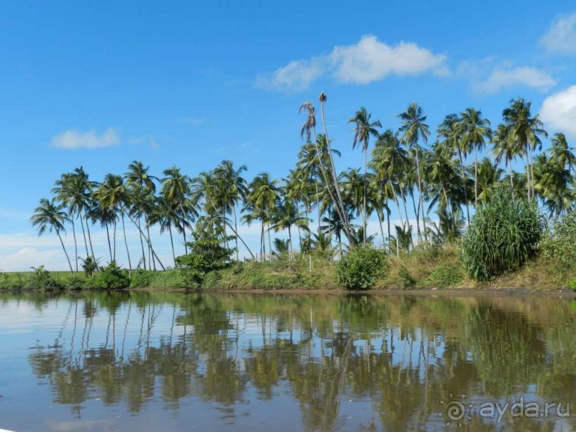 природа в 10 минутах от отеля