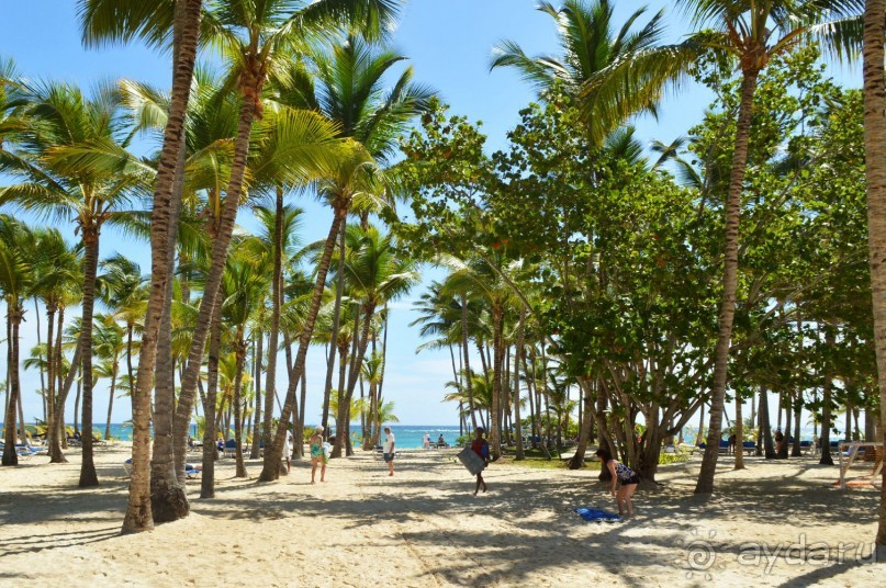 Доминикана - Отель RIU NAIBOA 4* 