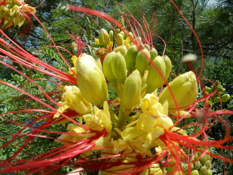 Мармарис Парк 4* - Зеленый отель в замечательном месте.