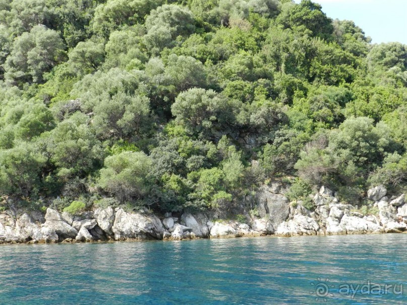 Мармарис Парк 4* - Зеленый отель в замечательном месте.