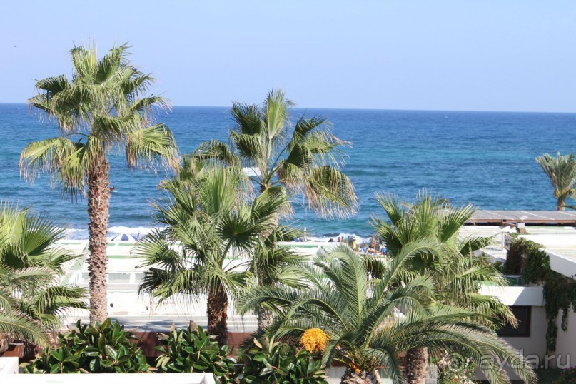 Вид из окна Вид из окна