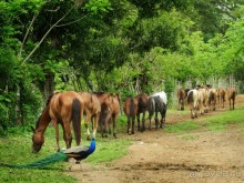 Экскурсия пещера Фун-Фун в Доминикане