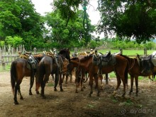 Экскурсия пещера Фун-Фун в Доминикане