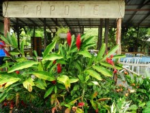 Экскурсия пещера Фун-Фун в Доминикане