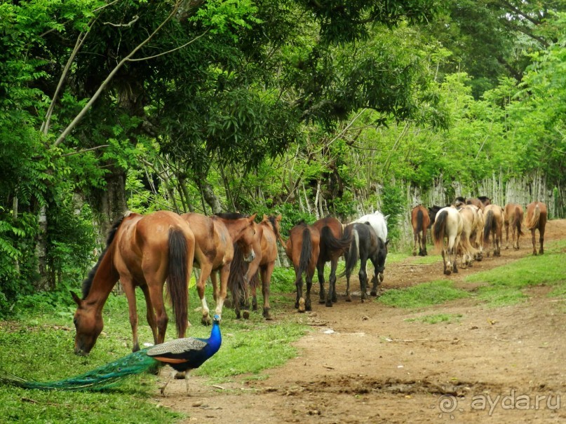 Экскурсия пещера Фун-Фун в Доминикане