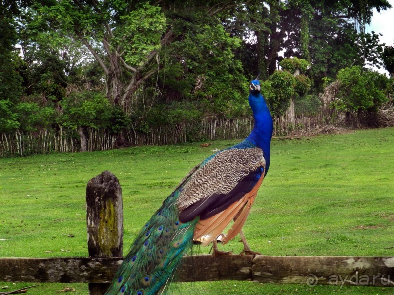 Экскурсия пещера Фун-Фун в Доминикане