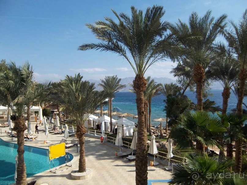 территория отеля