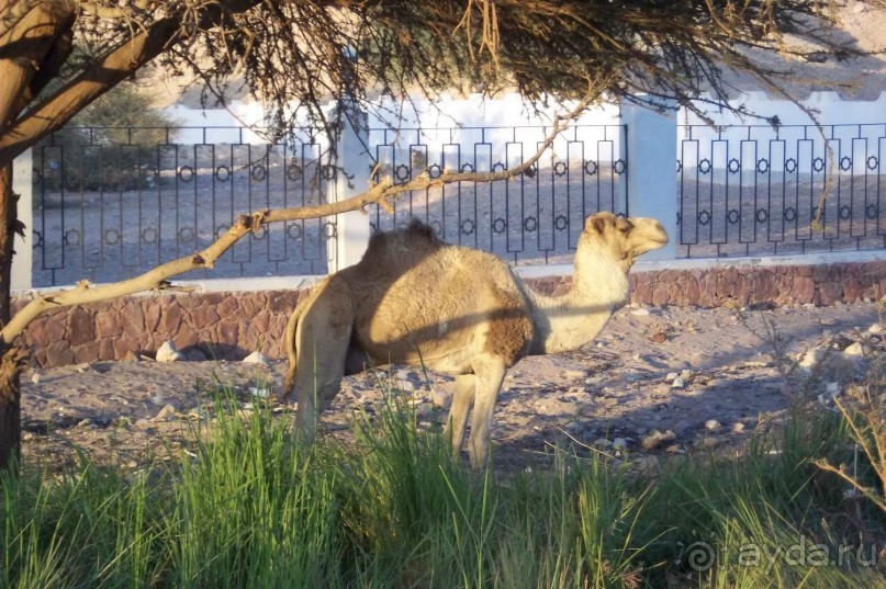 Вид с Пирса