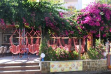 город Малия каффе с гамаками