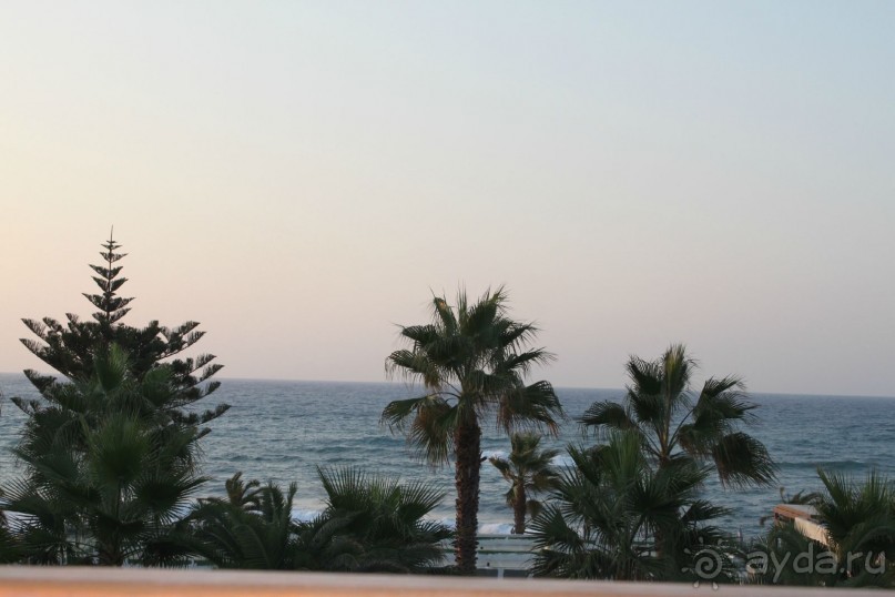 Вид из окна