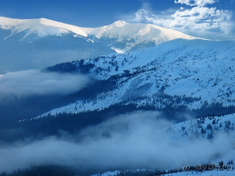 НЕПОВТОРИМЫЙ ДРАГОБРАТ -3 ИЛИ РАССКАЗ КАК ПЕСНЯ!