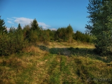 На безлюдных склонах Тростяна...