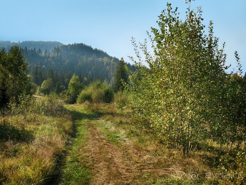 На безлюдных склонах Тростяна...
