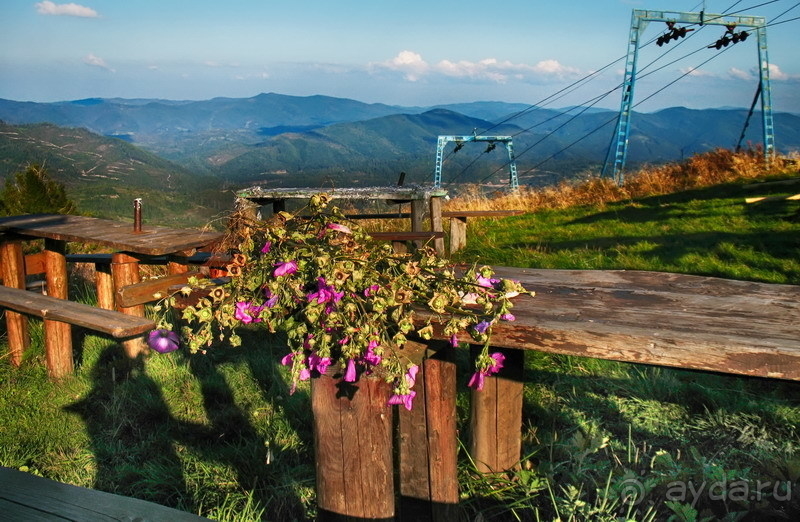 На безлюдных склонах Тростяна...