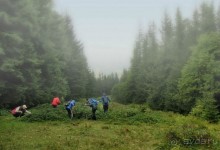 Копаемся в ежевичнике! (Магура)