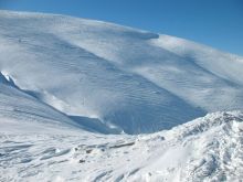 НЕПОВТОРИМЫЙ  ДРАГОБРАТ