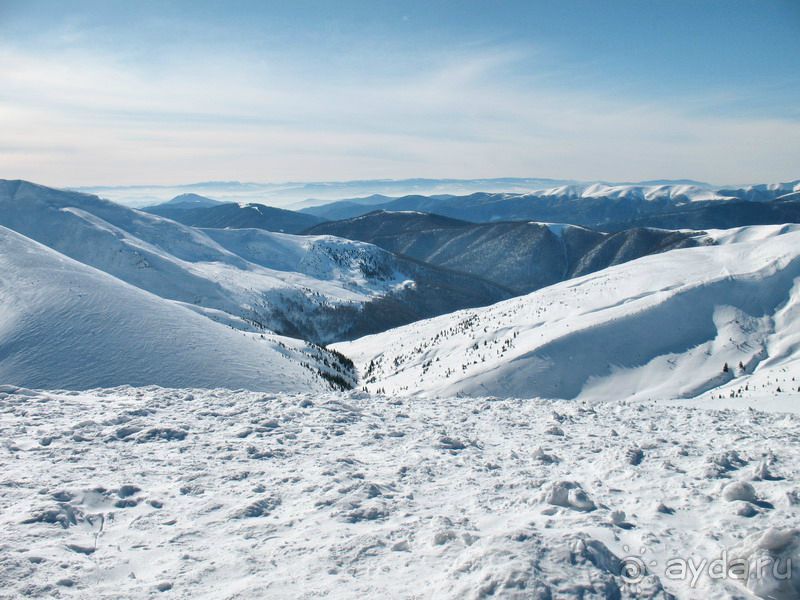 НЕПОВТОРИМЫЙ  ДРАГОБРАТ