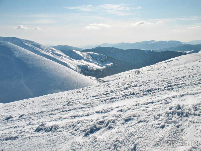 НЕПОВТОРИМЫЙ  ДРАГОБРАТ