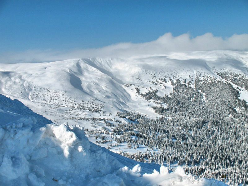 НЕПОВТОРИМЫЙ  ДРАГОБРАТ