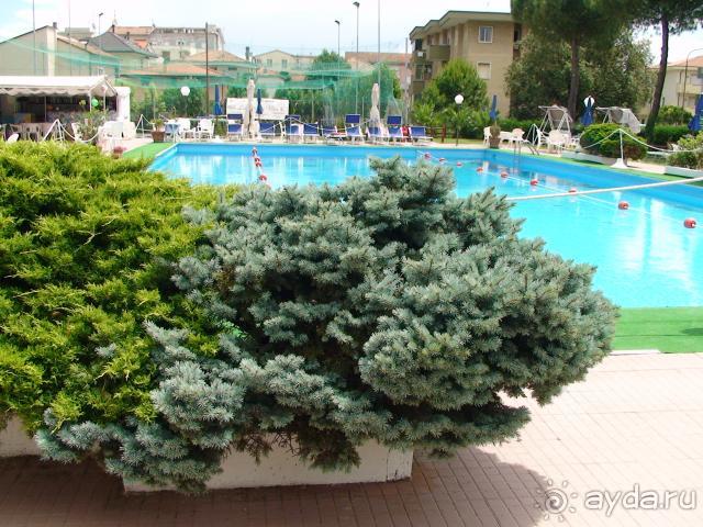 фото Best Micheleangelo