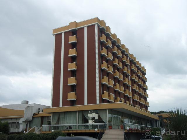 фото Best Micheleangelo