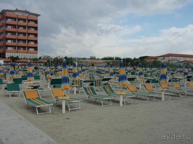 фото Best Micheleangelo