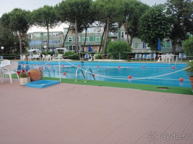 фото Best Micheleangelo