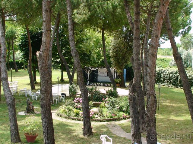 фото Best Micheleangelo