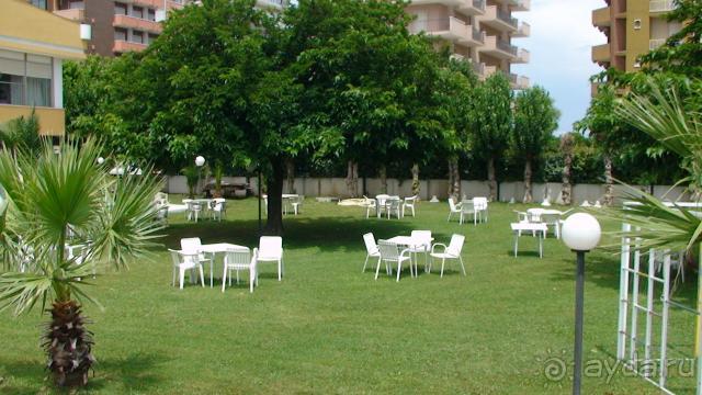 фото Best Micheleangelo