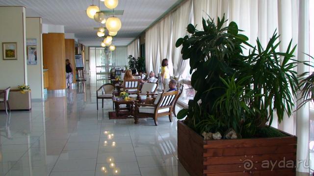 фото Best Micheleangelo