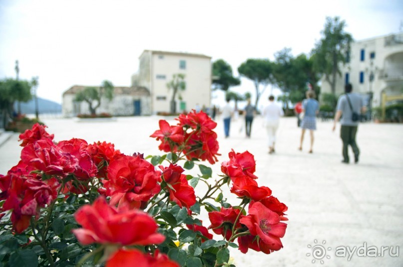 Побережье Одиссея.