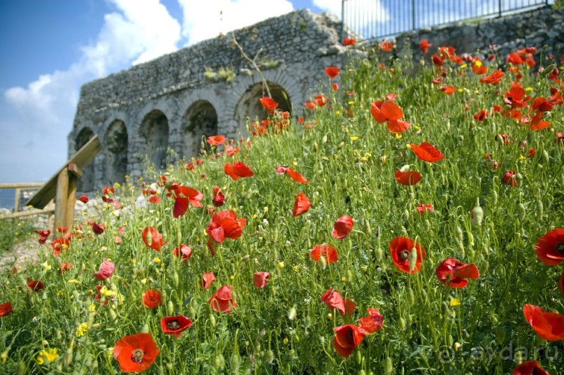 Побережье Одиссея.