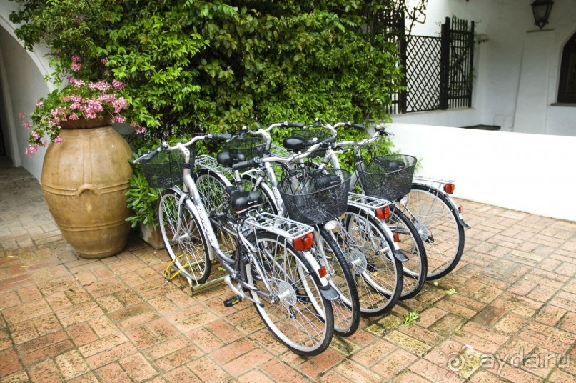 Побережье Одиссея.