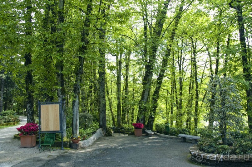 Побережье Одиссея.